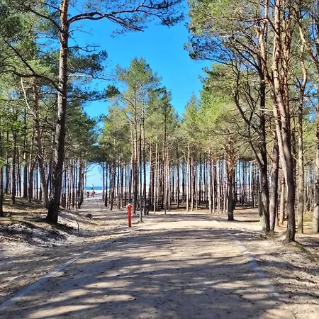 펜션 Sasinowe Zacisze