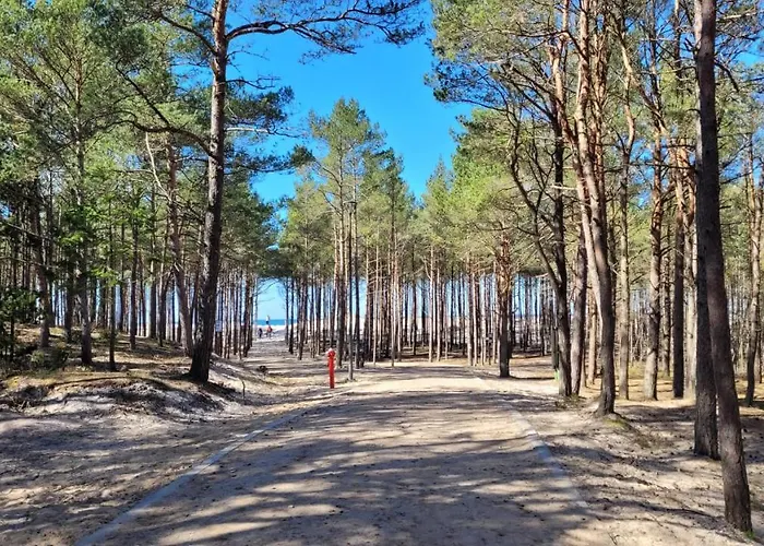 펜션 Sasinowe Zacisze