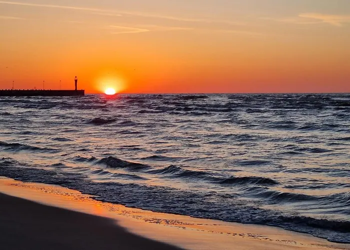 Sasinowe Zacisze * 사시노